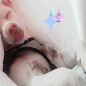 Meet your Posher, Bridget